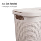 Mind Reader Slim Laundry Hamper with Lid, 40L Clothes Basket, Premium Wicker Design, Plastic