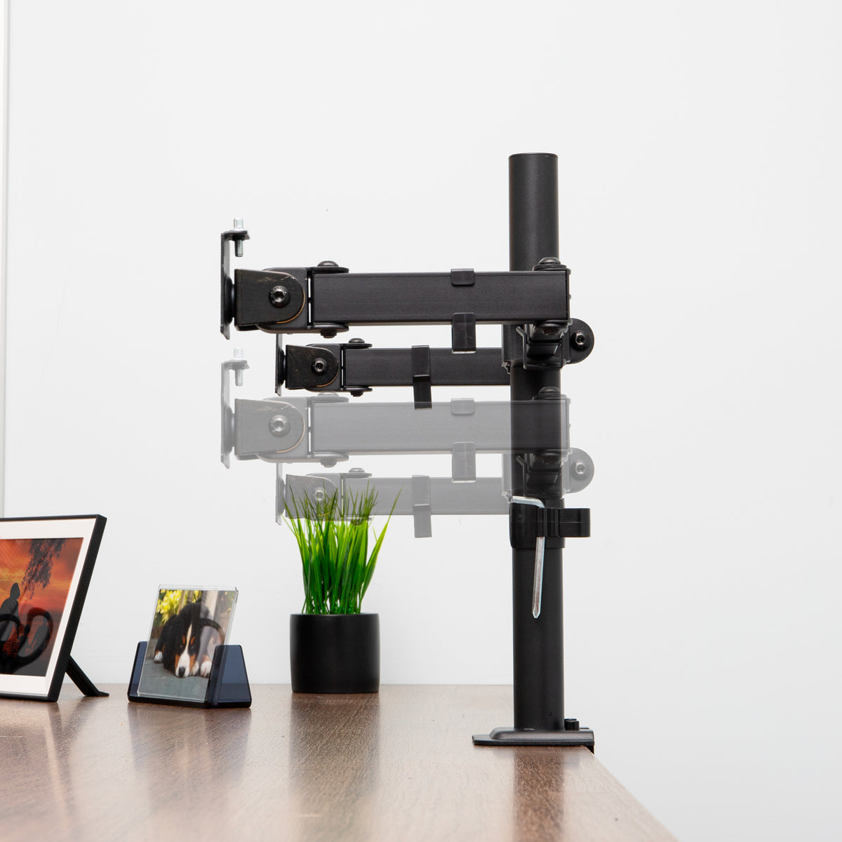 Mind Reader Dual Monitor Desk Mount for 13"-32" Screens, Adjustable VESA Mount with 180° Rotation, ±90° Swivel, ±45° Tilt, Integrated Cable Management, 17.6 lb Capacity Each, Black