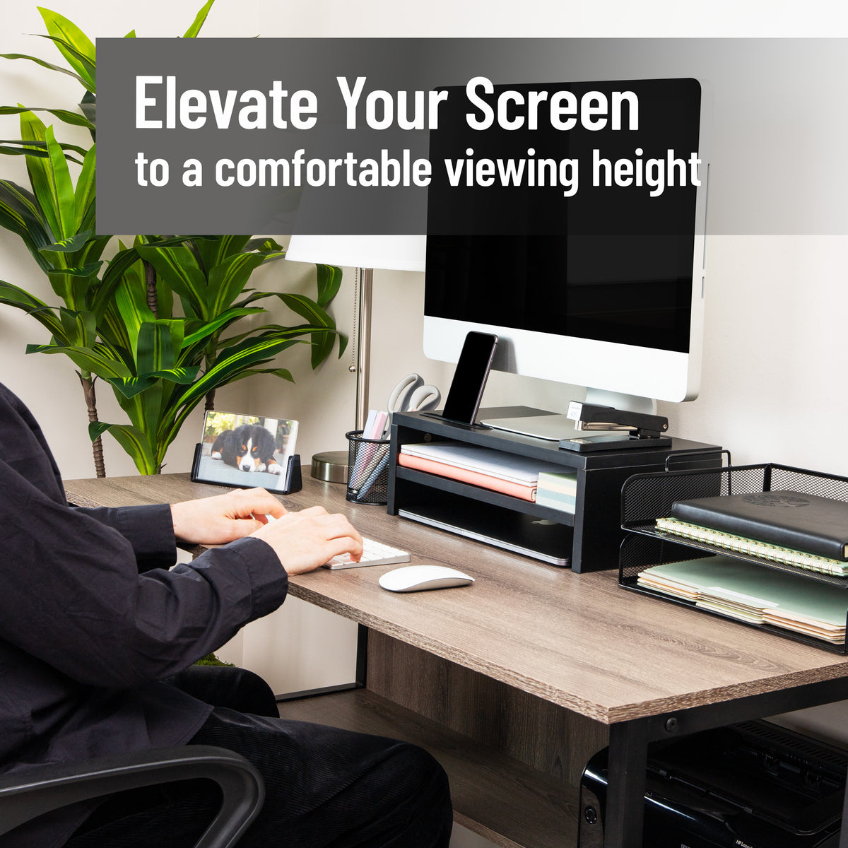 Mind Reader Monitor Stand with Phone Slot and Storage Shelf, Desktop Riser, 88 lb Capacity, MDF Wood, Black