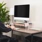Mind Reader Monitor Stand, Ventilated Laptop Riser, Paper Tray, Storage, Office, Metal Mesh
