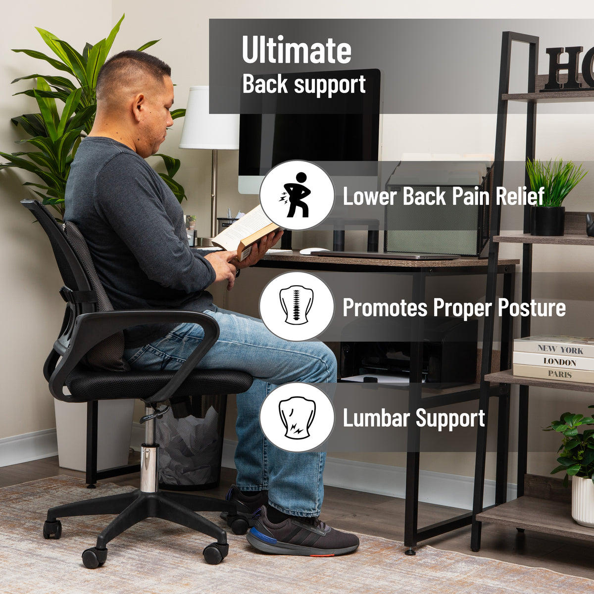 Mind Reader Lumbar Support Cushion for Office Chair and Car Seat, Memory Foam, Back Pain Relief, Improves Posture, 14.5"L x 5"W x 18.5"H